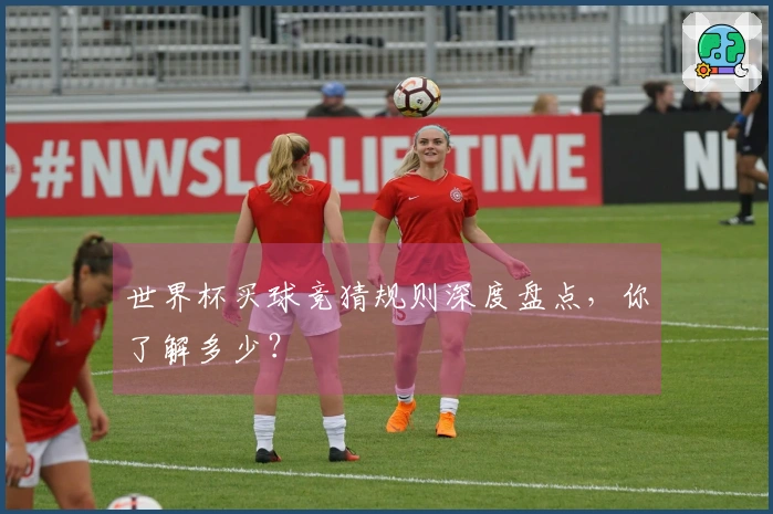 世界杯买球竞猜规则深度盘点，你了解多少？
