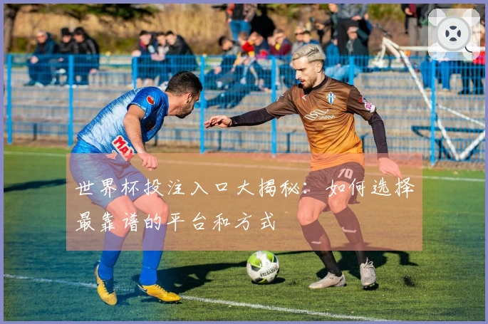 世界杯投注入口大揭秘：如何选择最靠谱的平台和方式