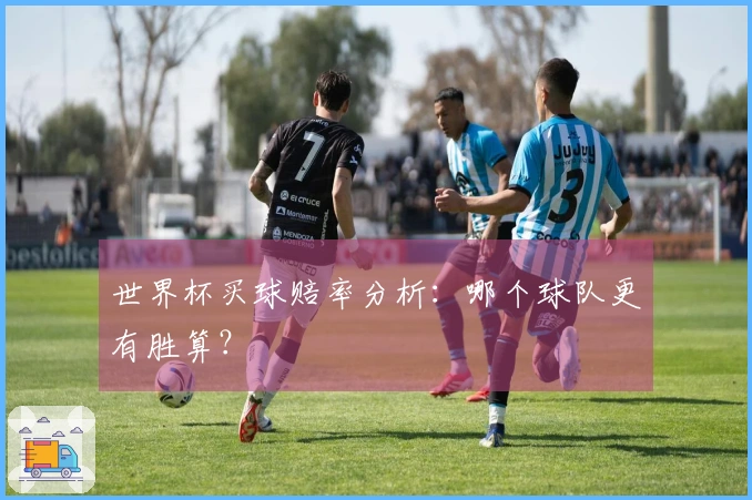 世界杯买球赔率分析：哪个球队更有胜算？
