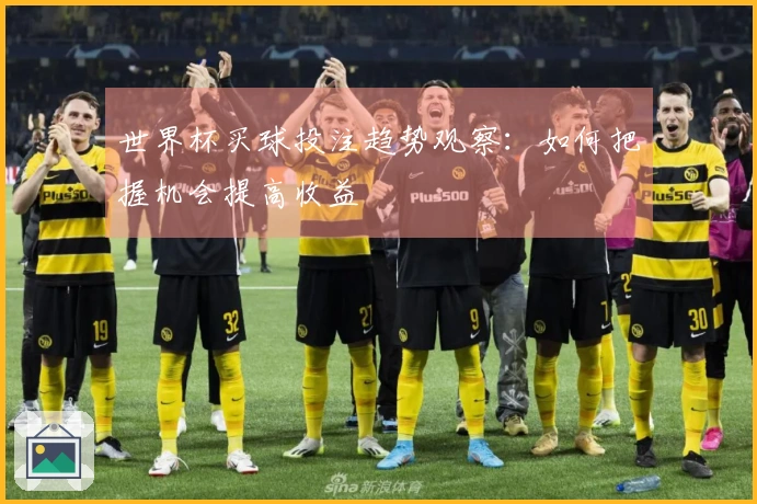 世界杯买球投注趋势观察：如何把握机会提高收益