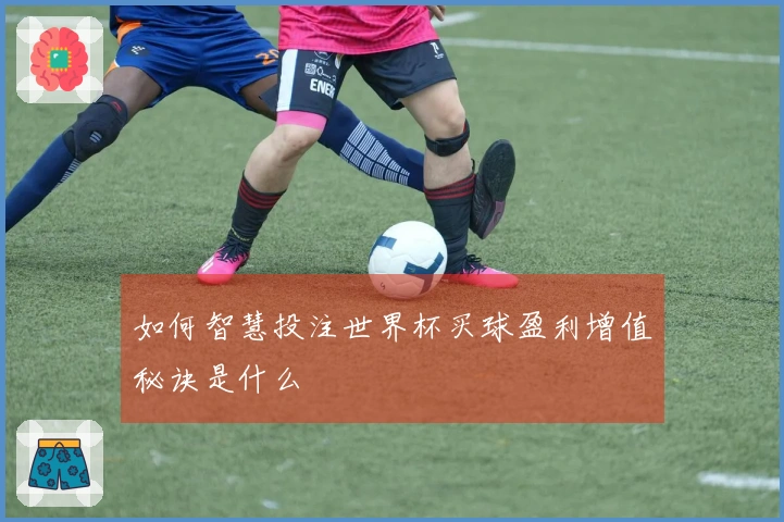 如何智慧投注世界杯买球盈利增值秘诀是什么