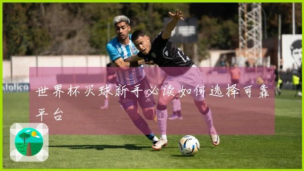 世界杯买球新手必读如何选择可靠平台