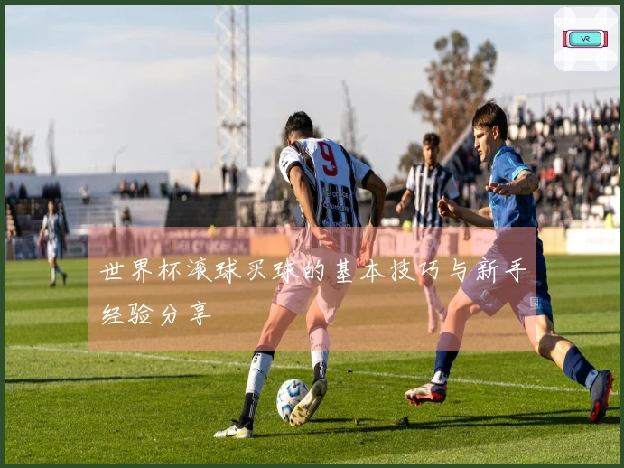 世界杯滚球买球的基本技巧与新手经验分享