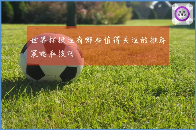 世界杯投注有哪些值得关注的推荐策略和技巧