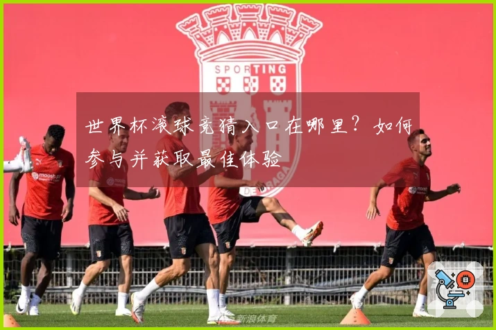 世界杯滚球竞猜入口在哪里？如何参与并获取最佳体验