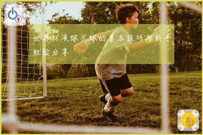 世界杯滚球买球的基本技巧与新手经验分享