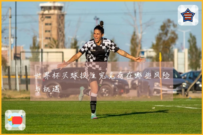 世界杯买球投注究竟存在哪些风险与机遇