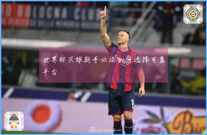 世界杯买球新手必读如何选择可靠平台