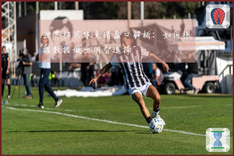 世界杯买球竞猜盘口解析：如何根据数据做出明智选择