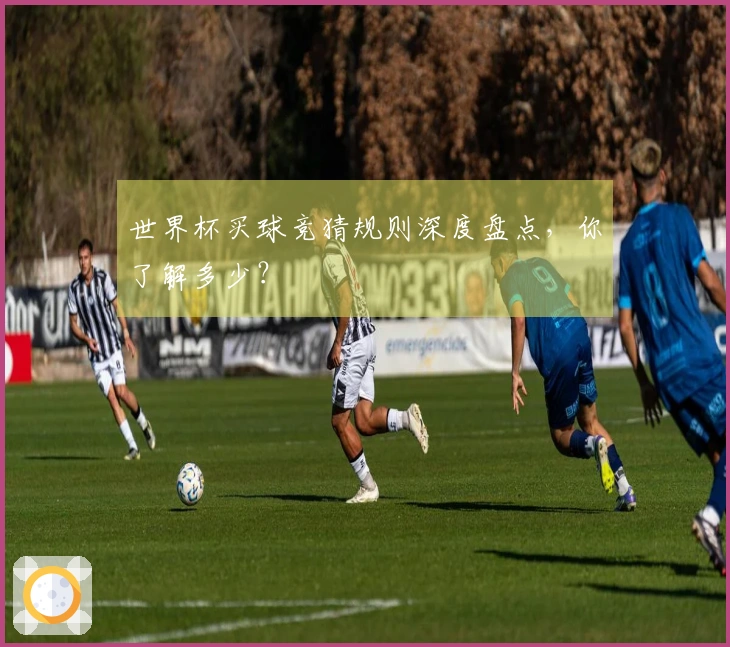 世界杯买球竞猜规则深度盘点，你了解多少？