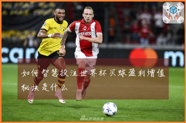 如何智慧投注世界杯买球盈利增值秘诀是什么